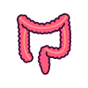 Offal intestine