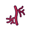 Artery