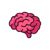 brain