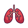 Lung