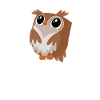 owl