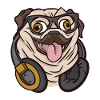 Hipster Pug