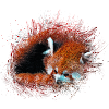 Ours panda rouge