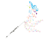 Flute instrument musician