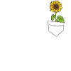 Sunflower In A Pocket