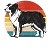 Border Collie Rétro