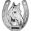 Cheval avec fer à cheval