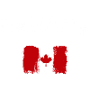 Canada Flag Brush Stroke