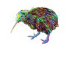 Spalsh Kiwi Bird