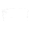 White forest