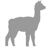 Alpaca
