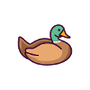 duck