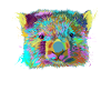 Wombat splash