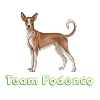 Team podenco