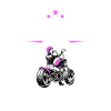 Not Perfect But Biker