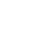 juicer wite