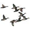 1000000000000000000