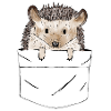 pocket hedgehog