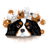 spaniel