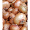 Lustig Zwiebel Gemüse Foto Geschenk