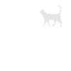 Cat staff