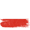 Poland Flag Grunge Brush Tee