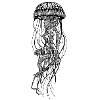 Jellyfish Medusa | Jellyfish Line Art Monochromatic