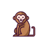 monkey