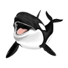 Orca