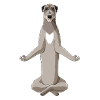 Meditating Irish Wolfhound Dog