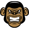 monkey angry evil