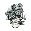 Skull
