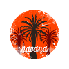 Havana capital of Cuba