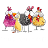 Où sont mes poules