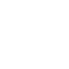 Basketball evolution