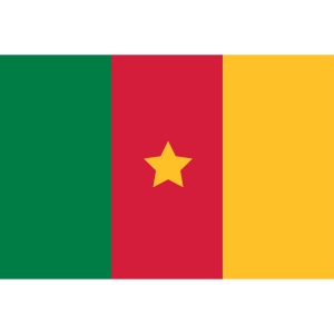 TKC Drapeau Cameroun