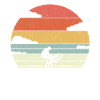 BMX rétro