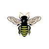 Bee Animal