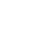 Italian Greyhound White