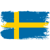 Sweden Flag Brush Tee