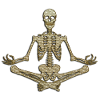 Skeleton