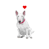 Bull terrier