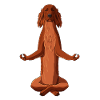 Meditating Irish Red Setter Dog