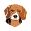 Dog beagle dog dog