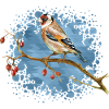 Bunter Vogel