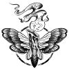 Candlemoth Candle Moth - Candle Moth Flame Fire