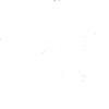 étoile de mer