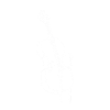Cello heartbeat
