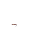 Programming Coffee Softwareingenieur Developer
