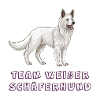 Team weißer schäferhund